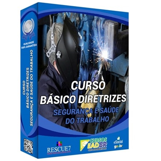 Curso Básico das Diretrizes de Segurança e Saúde do Trabalho | EAD | Ao Vivo | Presencial | Online | 15410